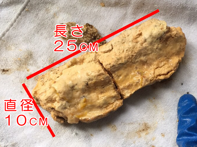 マンションのトイレ（汚水）排水管 生ゴミ（おそらく嘔吐物）による 油脂汚れの詰まり クリーン社(高知)｜浄化槽