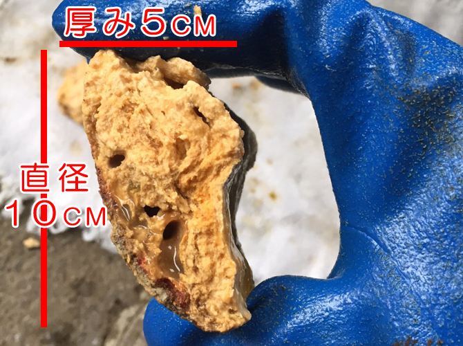 マンションのトイレ（汚水）排水管 生ゴミ（おそらく嘔吐物）による 油脂汚れの詰まり クリーン社(高知)｜浄化槽